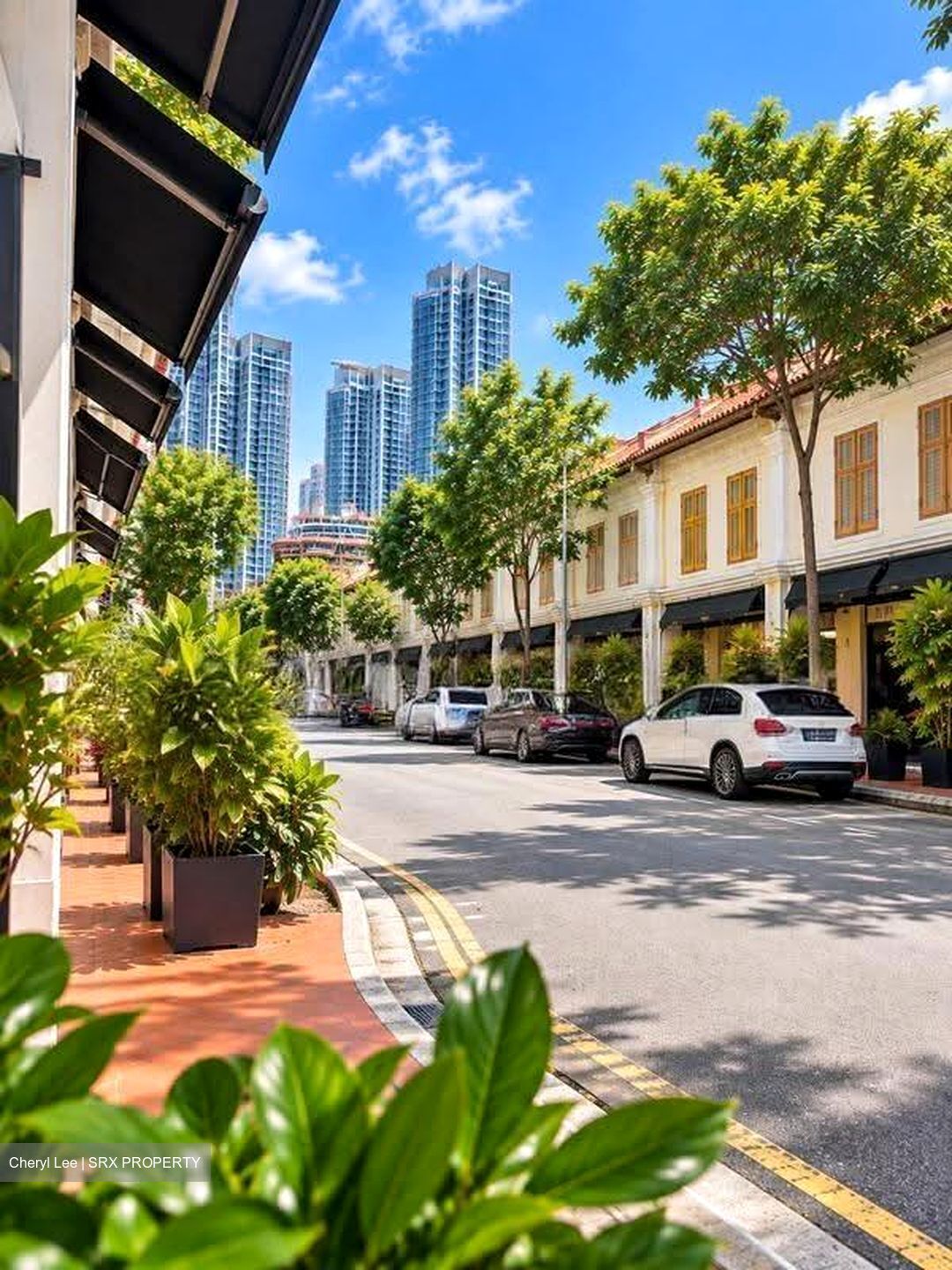 Little India Conservation Area (D8), Shop House #614432221